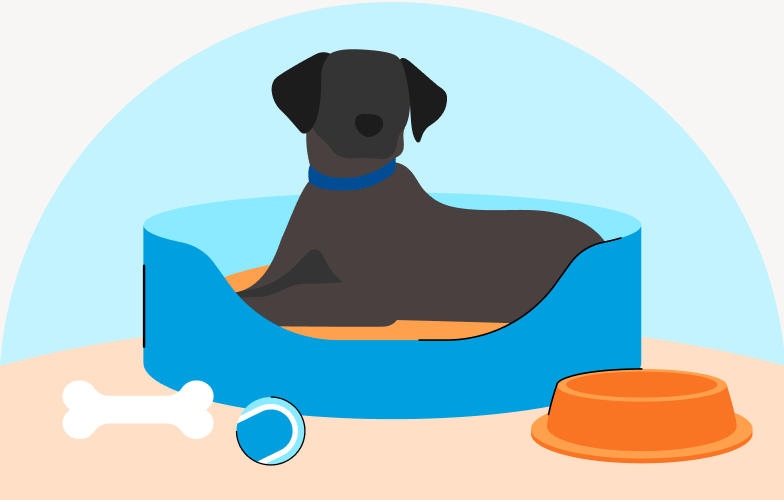 Illustrated picture of dog in a basket with a bone and bowl
